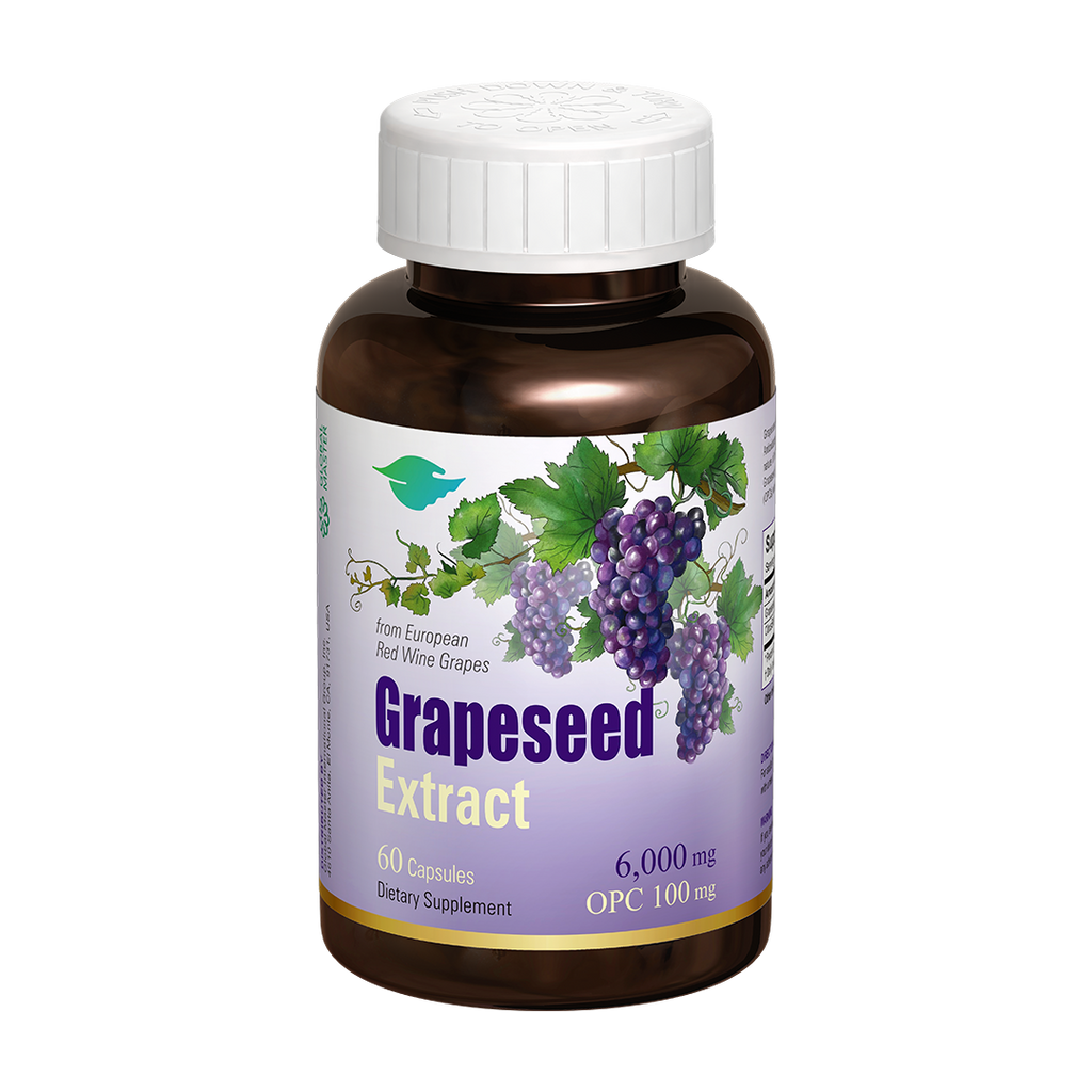 英語教材 グレープシード まとめ売り ユニット 1~27 Grape SEED